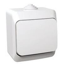 Mygtukinis jungiklis Schneider Electric Cedar Plus, 1 kl., balta sp.