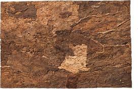 Terariumo fonas Terra Natura Virgin, 600 mm x 300 mm