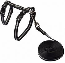 Kačių petnešos su pavadėliu Rogz Alleycat CLJ16A, 180 cm x 10 mm, juoda sp.