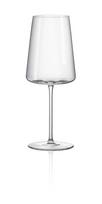 Vyno taurė Bohemia Crystalex Ray, stiklas, 0.4 l