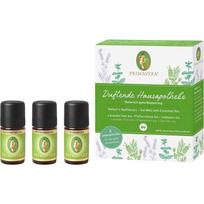 Eterinis aliejus Primavera Fragrant Home Medicine, 15 ml