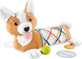 Veiklos pagalvėlė Fisher Price Puppy Tummy Wedge HJW10, 43.2 cm x 20 cm, įvairių spalvų