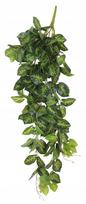 Dirbtinis augalas Splendid Variegata, žalia sp., 100 cm
