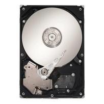 Kietasis diskas (HDD) Seagate ST3300656SS-RFB, 2.5", 300GB