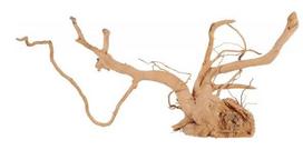 Akvariumo dekoracija Zolux Spider Root, ruda sp., 53.5 cm