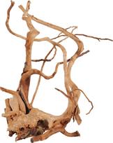Akvariumo dekoracija Zolux Spider Root 40, ruda sp., 50 cm