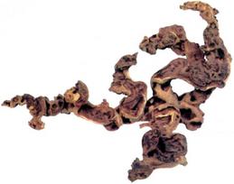 Akvariumo dekoracija Zolux Root 356016, ruda sp., XL
