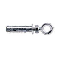 Inkarinis varžtas su kilpa G&B Fissaggi TNTRC06, 10x45 mm, 50 vnt.