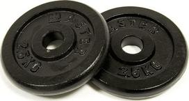 Diskinis svoris Master, 2 x 2.5 kg