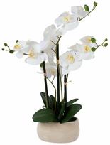 Dirbtinis augalas vazone, orchidėja Home4you Wind In Garden, smėlio sp., 55 cm