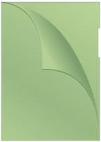 Dokumentų dėklas Q-Connect 11KF00309, 29.7 cm x 21 cm, A4, 100 vnt. Žalia sp.
