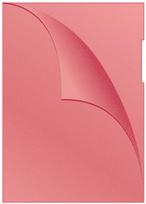 Dokumentų dėklas Q-Connect 11KF00306, 29.7 cm x 21 cm, A4, 100 vnt. Raudona sp.