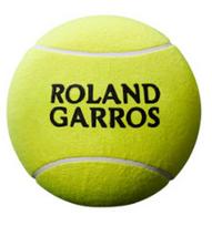 Teniso kamuoliukas Wilson Roland Garros, geltona sp.