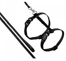 Kačių petnešos su pavadėliu Karlie Art Sportiv Plus 1031203, 110 cm, juoda sp.