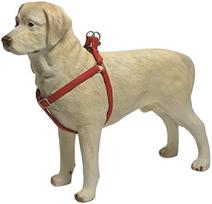Petnešos šunims Beeztees Harness, raudona sp., 600 - 1000 mm x 25 mm, 60-100 x 2.5 cm