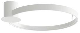 Šviestuvas lubų Thoro Lighting Rio 55 TH.125, LED, 3000 °K, 1 x 30 W, balta sp.