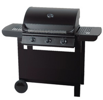 Dujinė kepsninė Master Grill & Party MG665, 125 cm x 51 cm