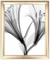 Foto paveikslas Wallity ACT-036, 23.5 cm x 28.5 cm