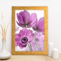 Foto paveikslas Wallity AC1680333025, 24 cm x 29 cm