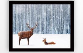 Foto paveikslas Wallity SC0440, 56 cm x 41 cm