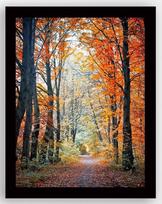 Foto paveikslas Wallity SC0033, 41 cm x 56 cm