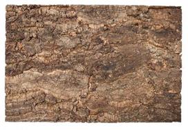 Akvariumo fonas Terra Natura Cameleon, 30 cm