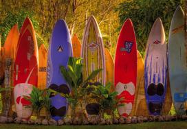 Fototapetas Komar Maui 8-902, 368 cm x 254 cm