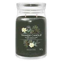 Žvakė, aromatinė Yankee Candle Silver Sage & Pine, 60 - 90 h, 567 g, Žalia sp.