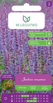 Sėklos šalavijas PURPLE BLUE, 0.1 g