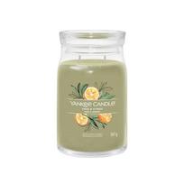 Žvakė, aromatinė Yankee Candle Signature Sage & Citrus, 60 - 90 h, 567 g, Žalia sp.