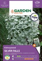 Sėklos Garden Center dichondra SILVER FALLS, 5 vnt.