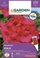 Sėklos Garden Center pelargonija EVA H, 5 vnt.