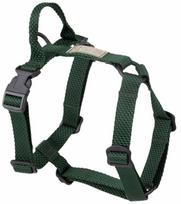 Petnešos šunims Amiplay Guard Midnight, žalia sp., 650 - 950 mm x 25 mm, XL