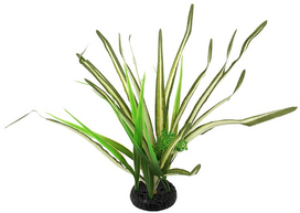 Dekoracija terariumui Repti Planet Spartina Grass