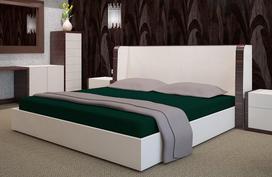 Paklodė PRZF-46, tamsiai žalia sp., 200 x 220 cm, su guma