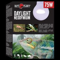 Terariumų lemputė Repti Planet Daylight Neodymium, 75 W