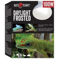 Terariumų lemputė Repti Planet Daylight Frosted, 100 W