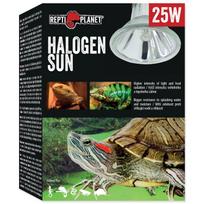 Terariumų lemputė Repti Planet Halogen Sun, 25 W