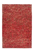 Kilimas vidaus Arte Espina Finish 100, aukso sp./raudona sp., 230 cm x 160 cm
