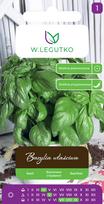 Sėklos kvapnusis bazilikas GREEN, 1 g
