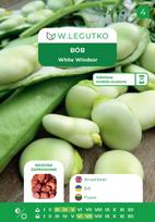 Sėklos, pupos WHITE WINDSOR, 50 g