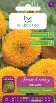 Sėklos saulėgrąža TEDDY BEAR, 2 g
