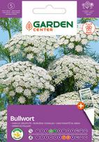 Sėklos Garden Center didysis amis, 1 g