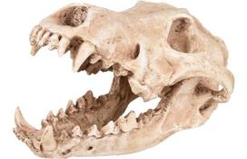 Akvariumo dekoracija Flamingo Skelo, 0.758 kg, smėlio sp., 24 cm