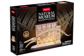3D dėlionė Cubicfun Natural Museum Blue Whale 05454, 58 cm x 20.5 cm, 285 vnt., ruda sp.