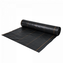 Agrotekstilė nuo piktžolių Bradas, juoda sp., 10 m x 1 m, 110 g/m²