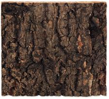 Dekoracija terariumui Repti Planet Background cork natural, 190 mm x 173 mm