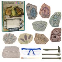 Kasinėjimo rinkinys Lean Toys Paleontology, ruda sp.