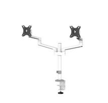 Monitoriaus laikiklis Neomounts By Newstar DS60-425WH2, 17-27", 16 kg