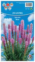 Svogūninės gėlės liatris Blue, 6 - 8 mm, 20 vnt.